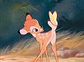Klicke auf die Grafik fr eine vergrerte Ansicht

Name: bambi.jpg
Ansichten: 198
Gre: 54,7 KB
ID: 562986