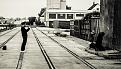 IMG 6195